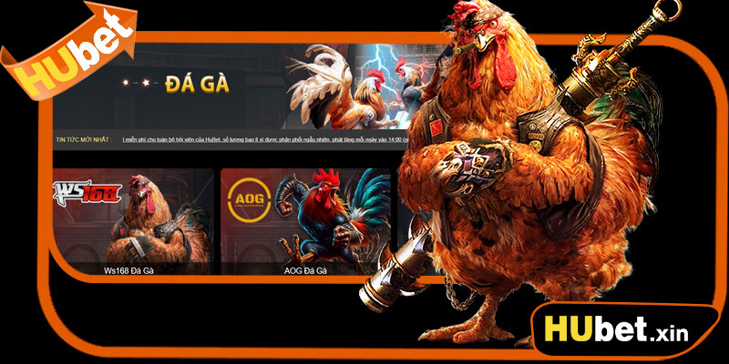Các loại gà phổ biến trong Đá Gà Hubet